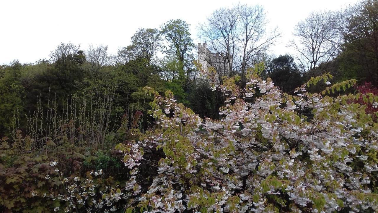 Longlane House B&B, Laugharne Exterior foto
