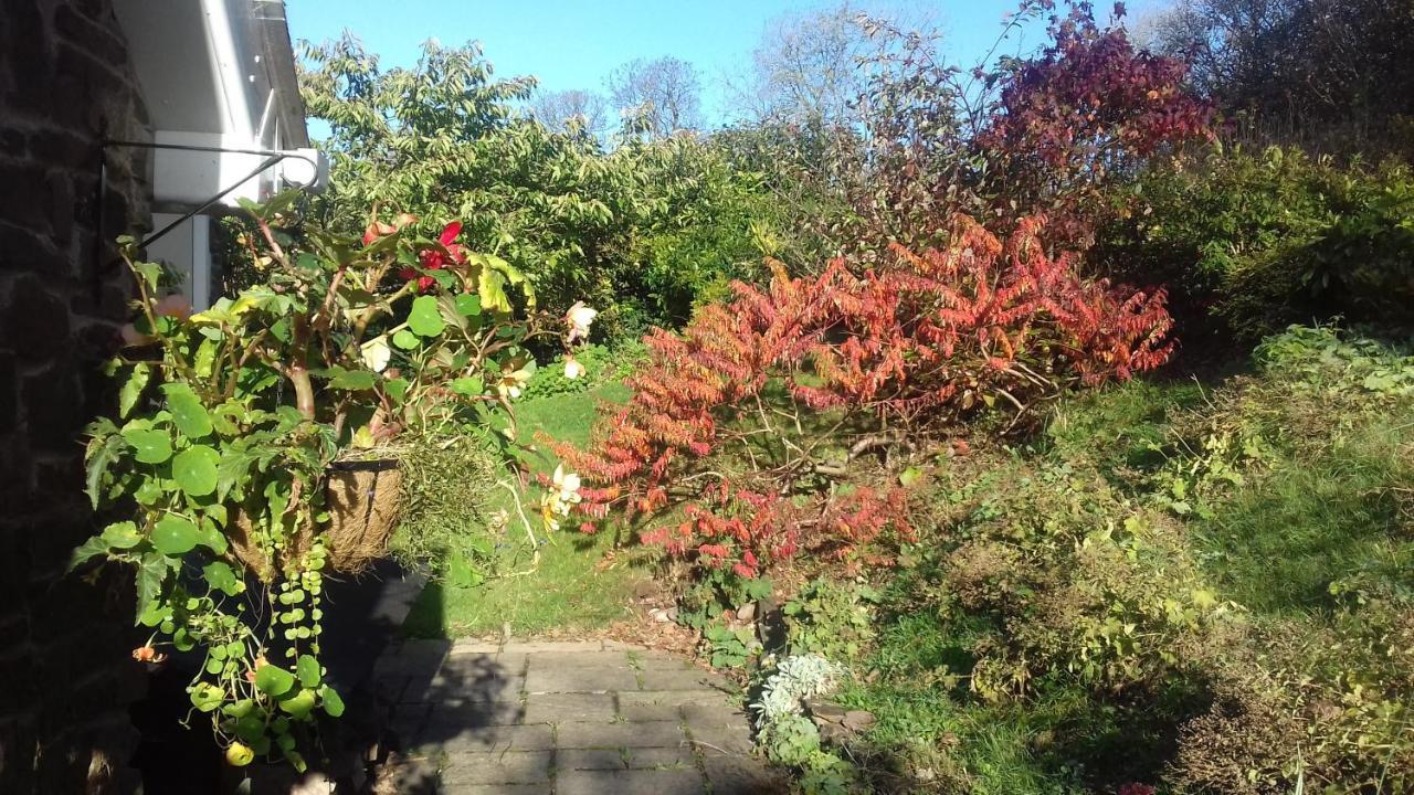 Longlane House B&B, Laugharne Exterior foto
